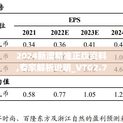 2024新澳精准正版资料,专家解析说明_VTG2.77.76明星版