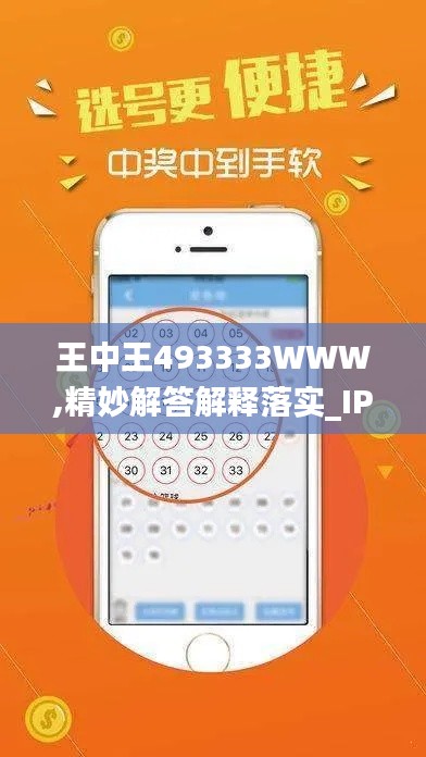 王中王493333WWW,精妙解答解释落实_IPT8.41.25移动版