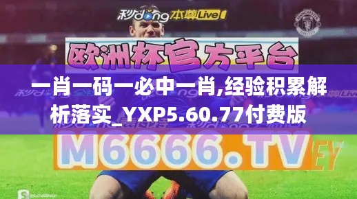 一肖一码一必中一肖,经验积累解析落实_YXP5.60.77付费版