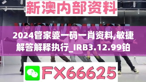 2024管家婆一码一肖资料,敏捷解答解释执行_IRB3.12.99铂金版