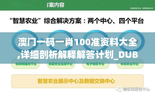 澳门一码一肖100准资料大全,详细剖析解释解答计划_DUB9.46.57稀缺版