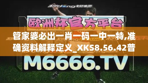 管家婆必出一肖一码一中一特,准确资料解释定义_XKS8.56.42普及版