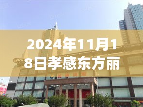 2024年11月18日孝感东方丽都最新动态深度解读与全方位评测