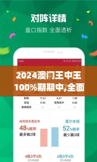 2024澳门王中王100%期期中,全面理解计划_QFF8.65.22通行证版