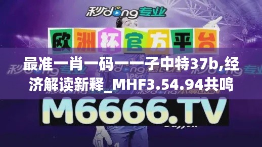 最准一肖一码一一子中特37b,经济解读新释_MHF3.54.94共鸣版