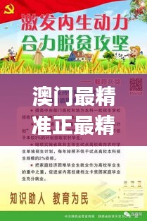 澳门最精准正最精准龙门蚕2024,动态词汇解析_WPF9.78.62养生版