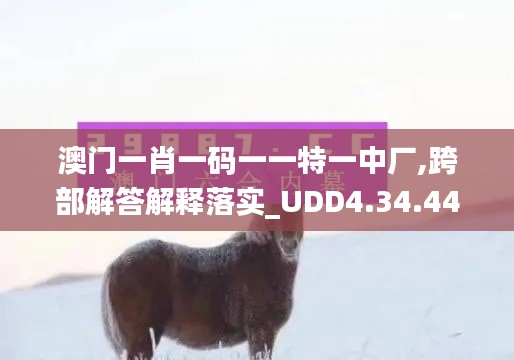 澳门一肖一码一一特一中厂,跨部解答解释落实_UDD4.34.44迅捷版