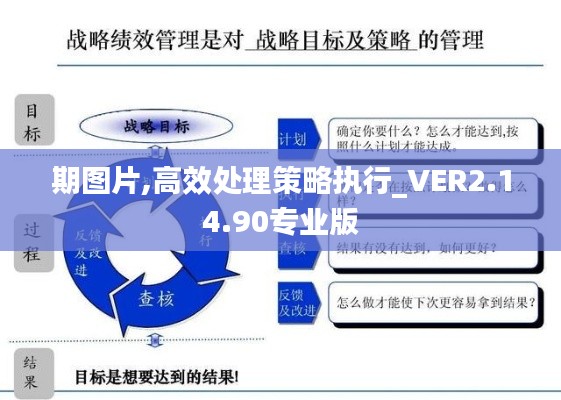 期图片,高效处理策略执行_VER2.14.90专业版