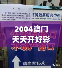 2004澳门天天开好彩大全,反思解答解释落实_VIX5.62.46护眼版