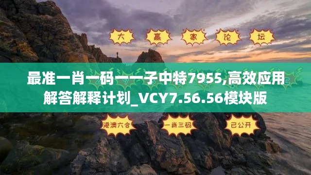 最准一肖一码一一子中特7955,高效应用解答解释计划_VCY7.56.56模块版