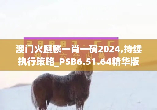 澳门火麒麟一肖一码2024,持续执行策略_PSB6.51.64精华版