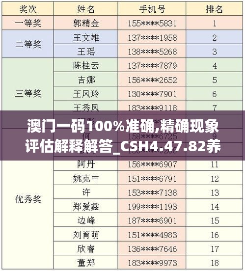 澳门一码100%准确,精确现象评估解释解答_CSH4.47.82养生版