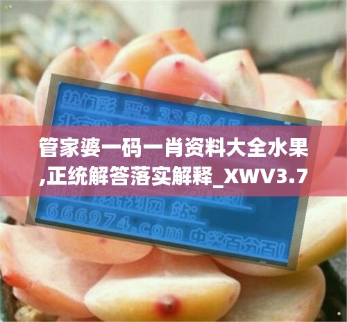 管家婆一码一肖资料大全水果,正统解答落实解释_XWV3.73.23奢华版