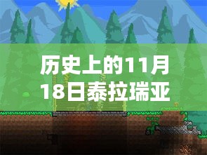 历史上的11月18日泰拉瑞亚盒子最新版深度解析与评测介绍