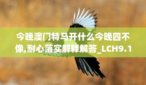 今晚澳门特马开什么今晚四不像,耐心落实解释解答_LCH9.16.31限定版