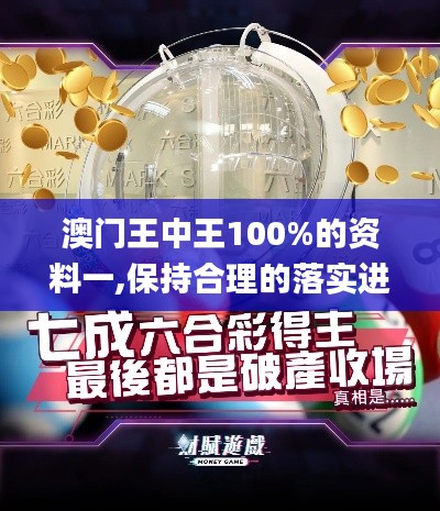 澳门王中王100%的资料一,保持合理的落实进程_QDY3.65.25确认版