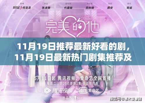 11月19日最新热门剧集推荐与深度评测，不容错过的精彩剧集