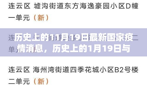 历史上的重要日期与国家疫情走向，1月与11月疫情最新消息引发的思考