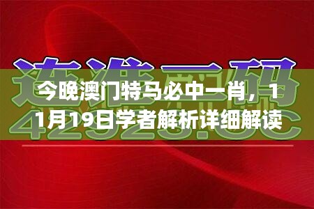 今晚澳门特马必中一肖，11月19日学者解析详细解读_MLU3.29.56四喜版