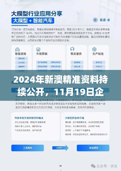 2024年新澳精准资料持续公开，11月19日企业转型解答方案发布_OOD2.80.45动画版