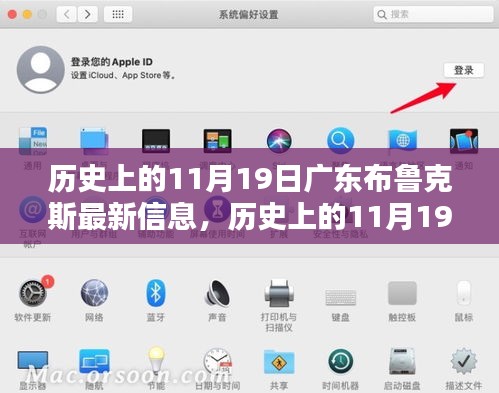 历史上的11月19日广东布鲁克斯最新信息一览，最新概览与动态更新