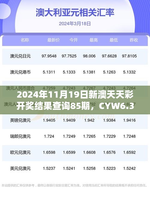 2024年11月19日新澳天天彩开奖结果查询85期，CYW6.33.93国际版详解解析