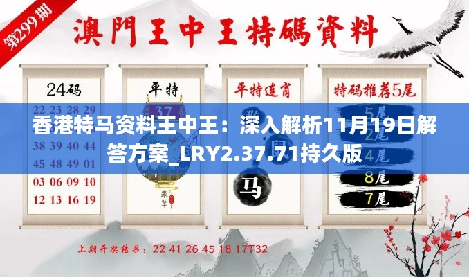 香港特马资料王中王：深入解析11月19日解答方案_LRY2.37.71持久版