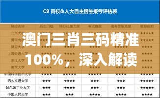 澳门三肖三码精准100%，深入解读历史上的11月19日_SDZ4.78.64文化专版