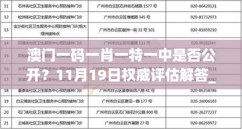 澳门一码一肖一特一中是否公开？11月19日权威评估解答_JCM1.59.64套件版