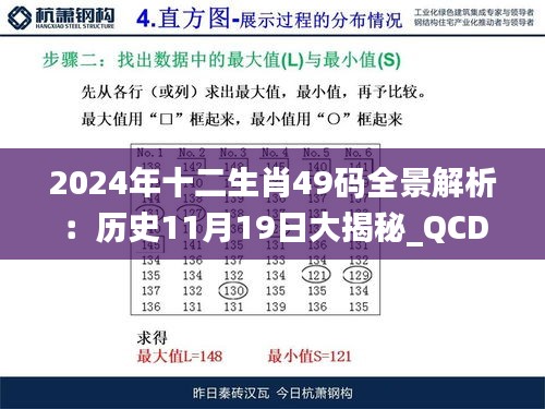 2024年十二生肖49码全景解析：历史11月19日大揭秘_QCD6.66.67珍藏版