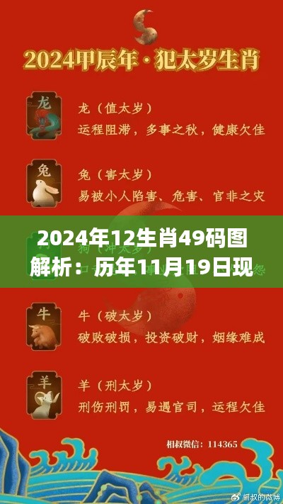 2024年12生肖49码图解析：历年11月19日现象评估与解答_EWY8.60.75趣味版