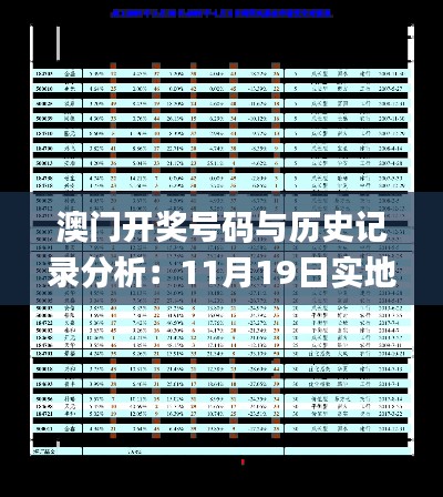 澳门开奖号码与历史记录分析：11月19日实地方案验证_QDL2.74.23精选版