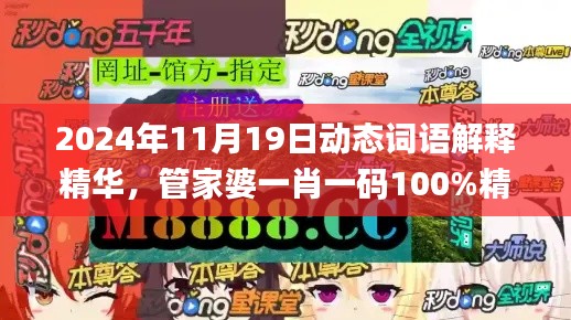 2024年11月19日动态词语解释精华，管家婆一肖一码100%精准资讯_BQV9.47.65电影版