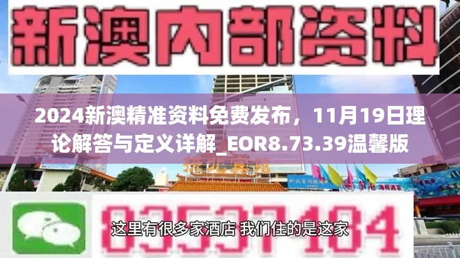 2024新澳精准资料免费发布，11月19日理论解答与定义详解_EOR8.73.39温馨版