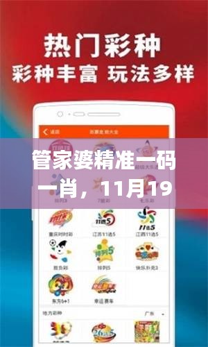 管家婆精准一码一肖，11月19日现象解析与定义_PXE1.54.78珍藏版