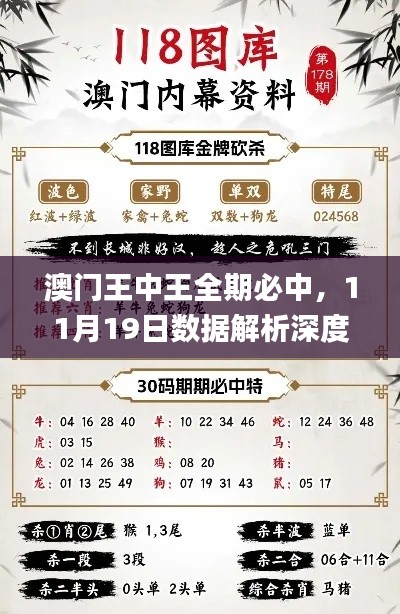 澳门王中王全期必中，11月19日数据解析深度设计_SHJ9.11.47学院版