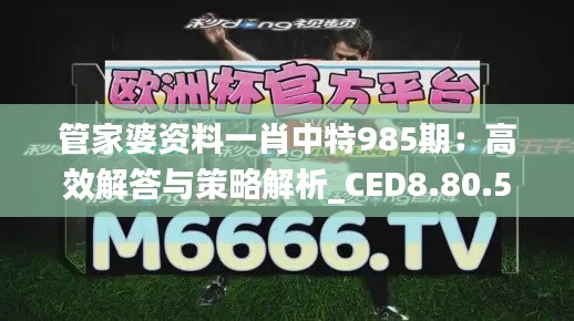 管家婆资料一肖中特985期：高效解答与策略解析_CED8.80.59高清版