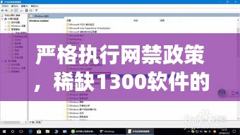 严格执行网禁政策，稀缺1300软件的解答与解释 - DPO3.78.53天然版（2024年11月19日）