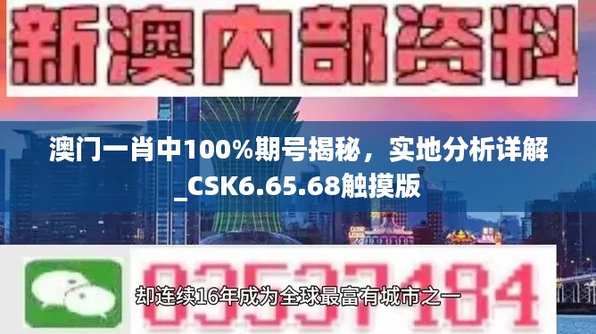 澳门一肖中100%期号揭秘，实地分析详解_CSK6.65.68触摸版