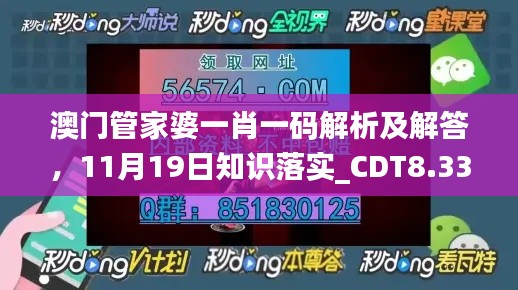 澳门管家婆一肖一码解析及解答，11月19日知识落实_CDT8.33.48炼气境