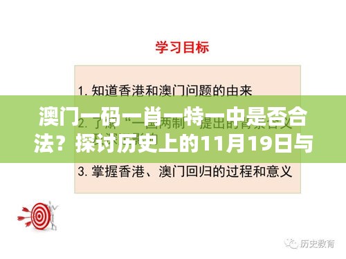 澳门一码一肖一特一中是否合法？探讨历史上的11月19日与VOI5.63.35电商版的数据分析