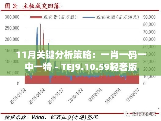 11月关键分析策略：一肖一码一中一特 - TEJ9.10.59轻奢版
