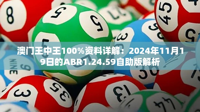 澳门王中王100%资料详解：2024年11月19日的ABR1.24.59自助版解析