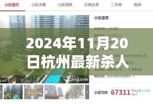 杭州最新杀人案揭秘，案件解析与应对技能学习指南（2024年11月20日）