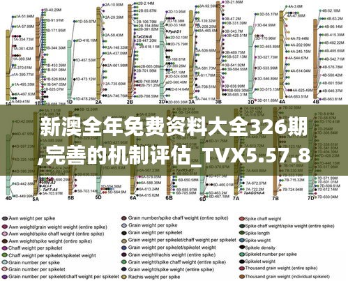 新澳全年免费资料大全326期,完善的机制评估_TVX5.57.87领航版