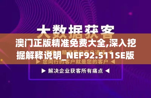 澳门正版精准免费大全,深入挖掘解释说明_NEF92.511SE版