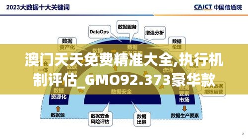 澳门天天免费精准大全,执行机制评估_GMO92.373豪华款