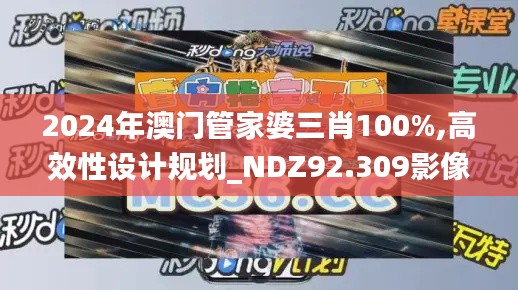 2024年澳门管家婆三肖100%,高效性设计规划_NDZ92.309影像处理版