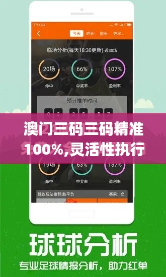 澳门三码三码精准100%,灵活性执行方案_EVR92.802散热版