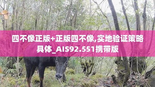 四不像正版+正版四不像,实地验证策略具体_AIS92.551携带版